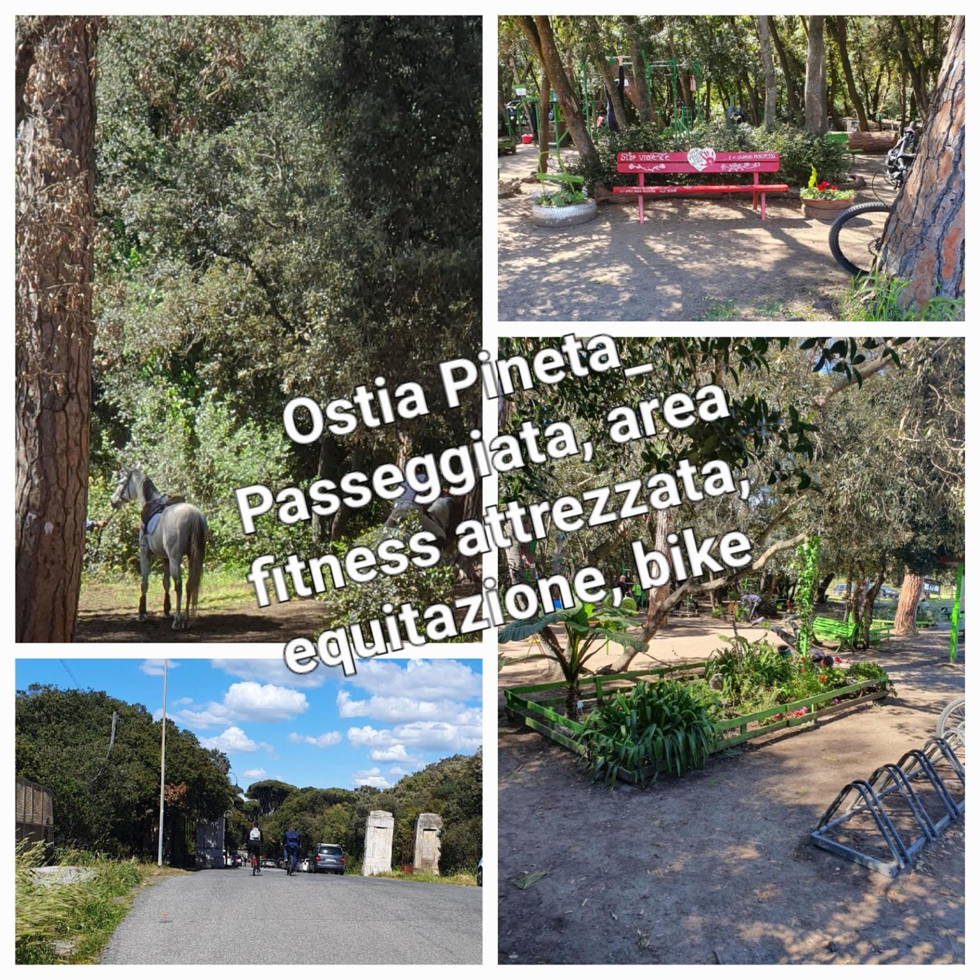 Casa Diana Ostia Apartment Exterior photo